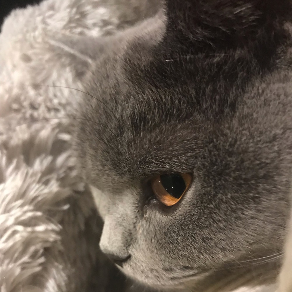 Meet your Posher, Yu